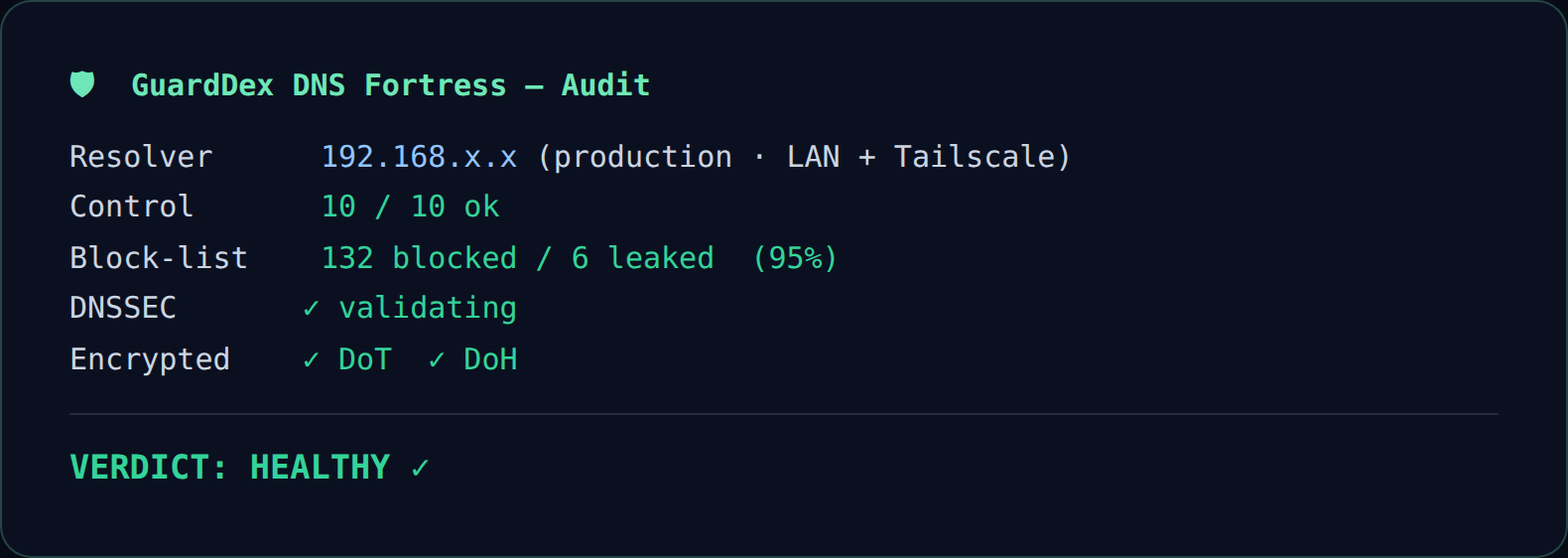 DNS Fortress verifier showing a HEALTHY verdict