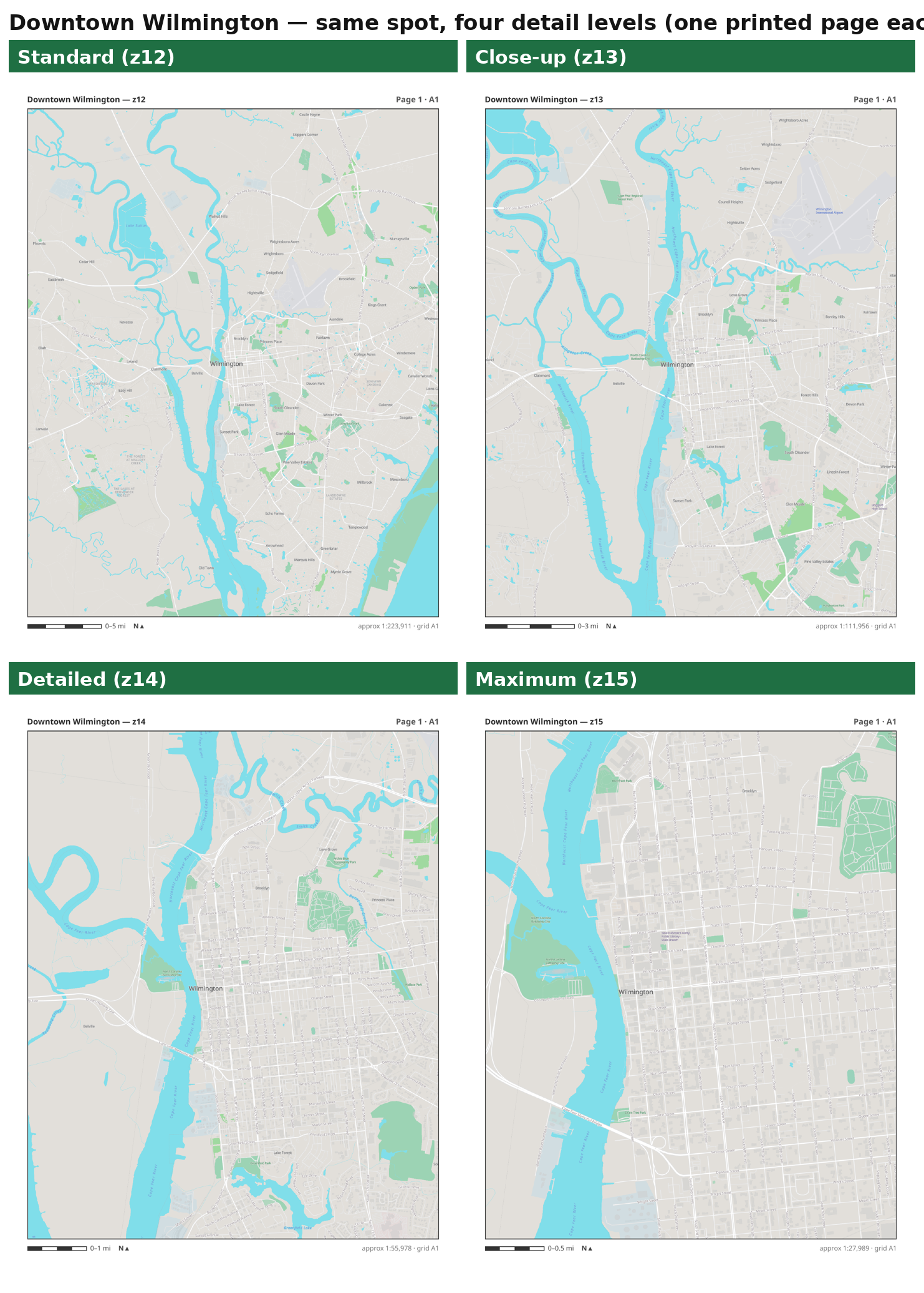 The same downtown block shown at four detail levels, from Standard to Maximum